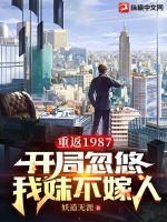 重回1987去奋斗小说